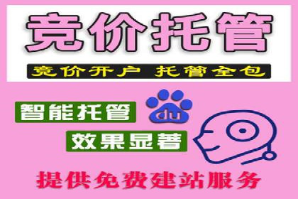 SEM服务案例：提升网站流量